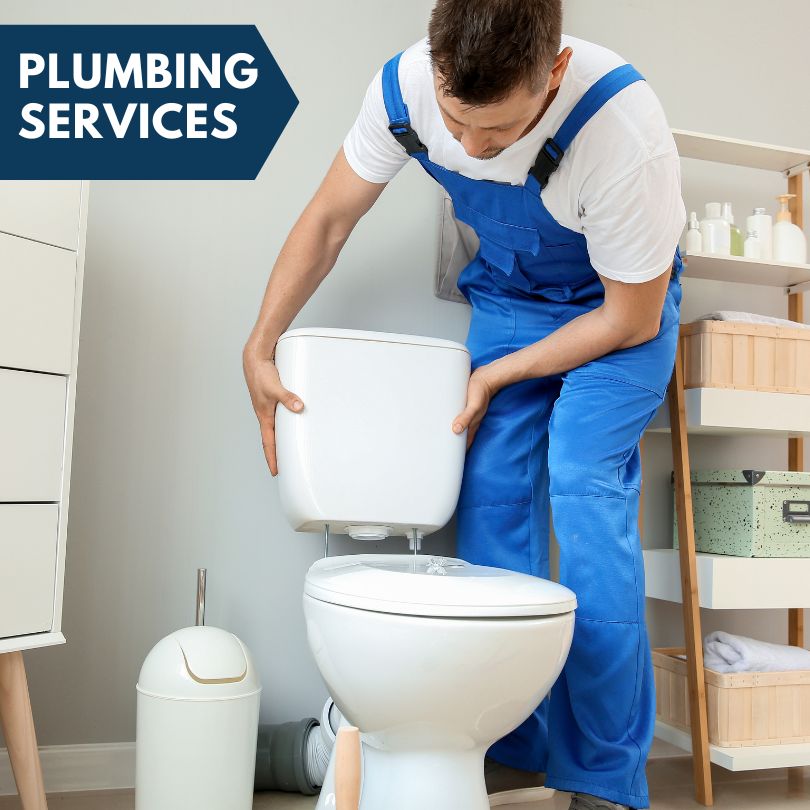 Plumbing Company in Lisle, IL